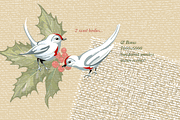 Christmas Floral & Holly Kit, a Decorative Illustration by Southwind Collections (Thumbnail 7 of 7)