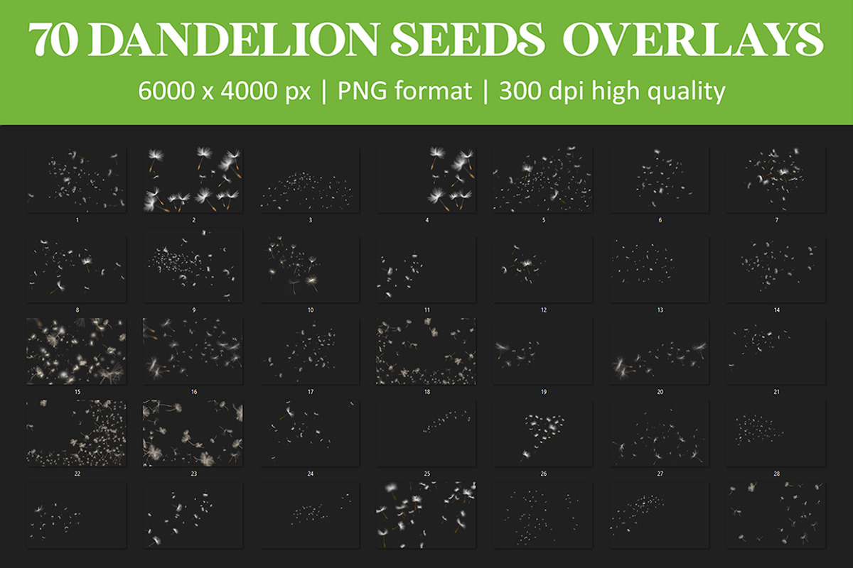 Dandelion Overlays, an Object Graphic by VligCreativeStudio (Photo 5 of 6)