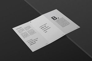 DL Trifold Brochure Mockup Kit