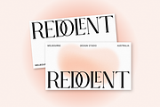 Redolent - Modern Stylish, a Serif Font by RockboyStd (Thumbnail 3 of 12)
