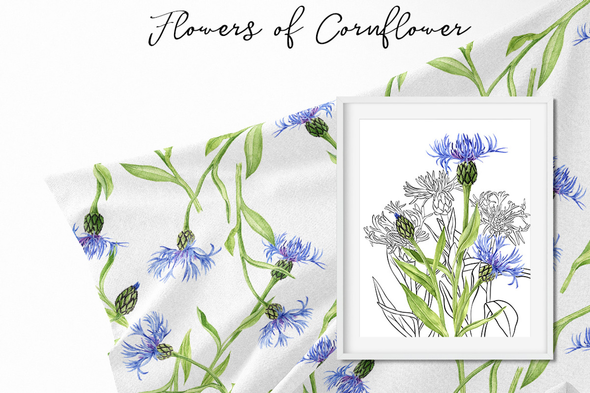 Flowers of Cornflower, a Decorative Illustration by cat_arch_angel (Photo 2 of 7)