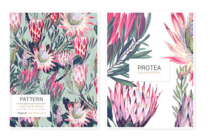 Protea, Patterns And Motifs Set