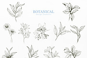 Foliage Hand Drawn, an Object Graphic by Solana (Thumbnail 2 of 3)