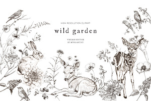 WILD GARDEN Pencil Sketch Clipart, a Decorative Illustration by Muse Artist