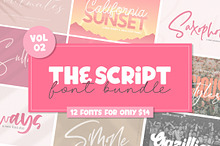 The Script Font Bundle - Vol 02