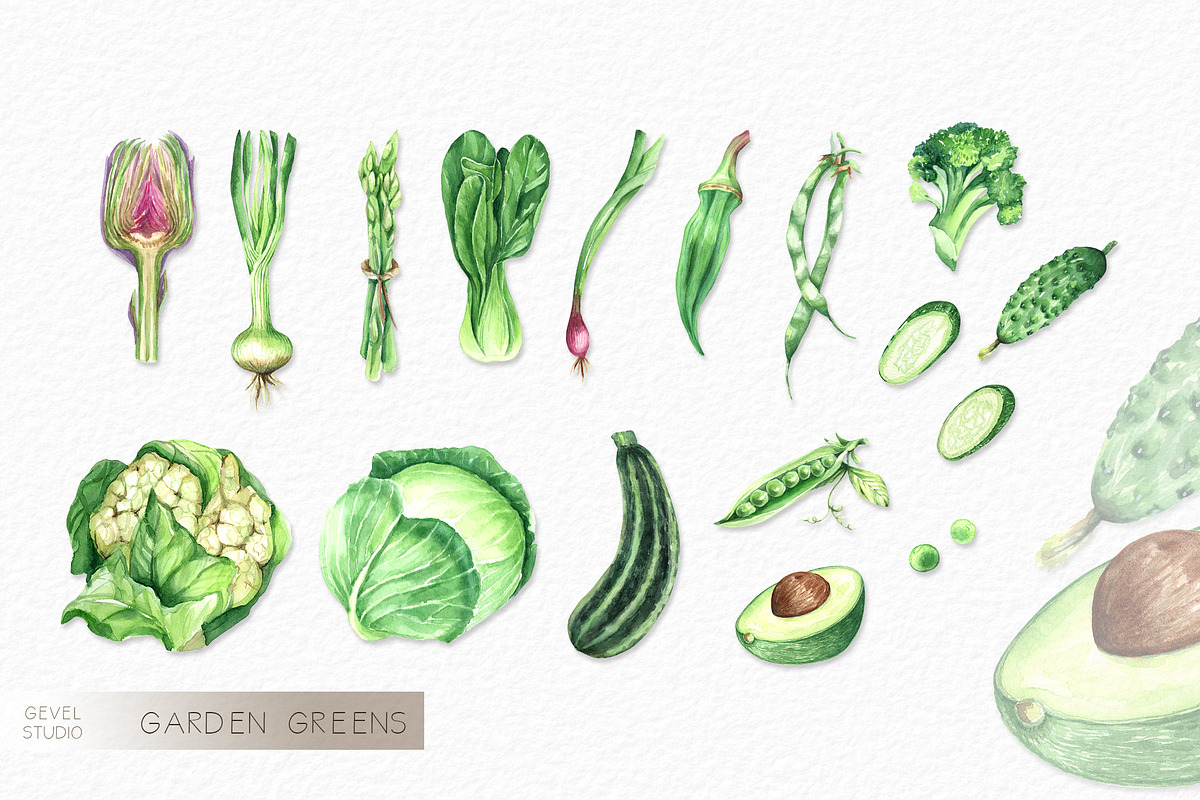 Watercolor VEGETABLES illustrations, a Decorative Illustration by GevelStudio (Photo 4 of 9)