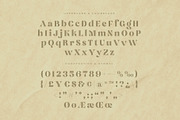 Golden Lush a Retro Glamorous, a Serif Font by Annivers Type (Thumbnail 9 of 10)