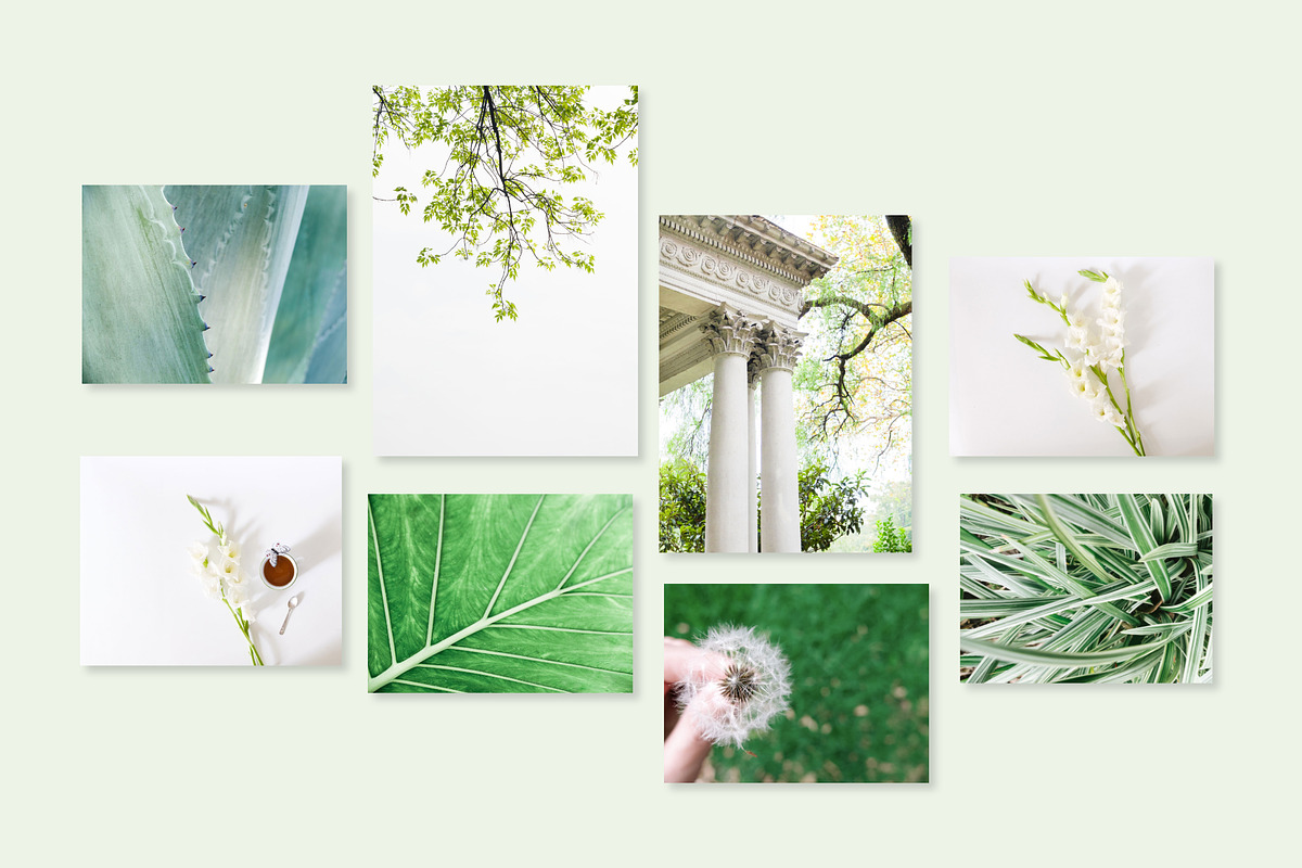 Minimal Greenery Photo Bundle, a Business Photo by Visual Bloom (Photo 3 of 4)