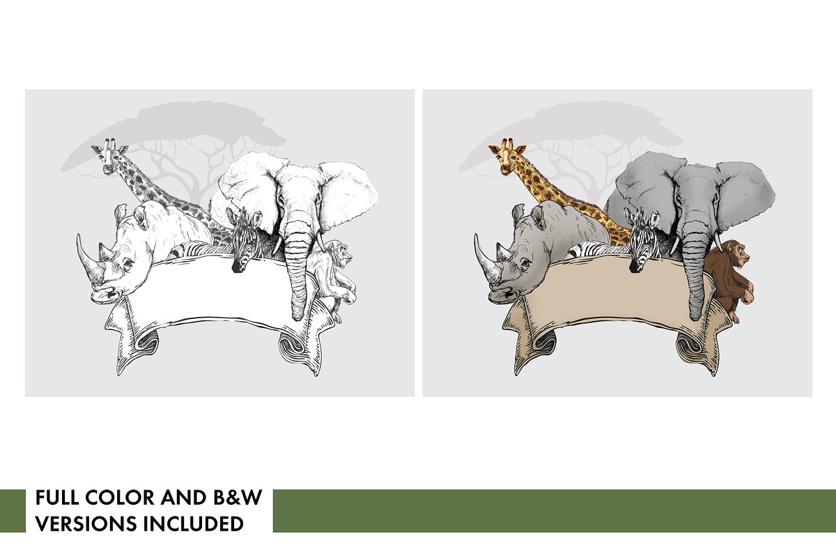 Safari Party Set, an Animal Illustration by Nancy Ingersoll (Photo 5 of 8)