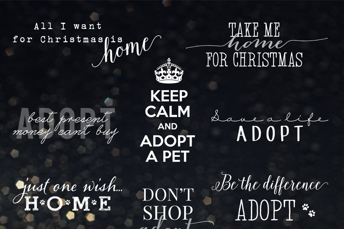 Overlays - Support Adoption vol.2
