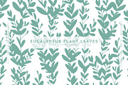 Eucalyptus Plant Leaves, a Graphic by MalyskaStudio (Thumbnail 1 of 5)