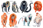 Watercolor Happy Monkeys, an Animal Illustration by Anastasia (Thumbnail 11 of 13)