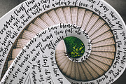 Tasty Morsel script, a Handwritten Font by supfonts (Thumbnail 4 of 6)