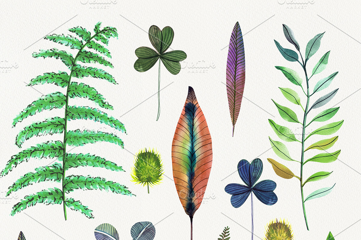 Botanical watercolor leaves set, a Decorative Illustration by Art AleshkaK (Photo 2 of 10)