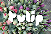 Tulip, a Font by ArtyType (Thumbnail 1 of 2)