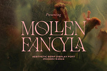 Mollen Fancyla Aesthetic Serif Font