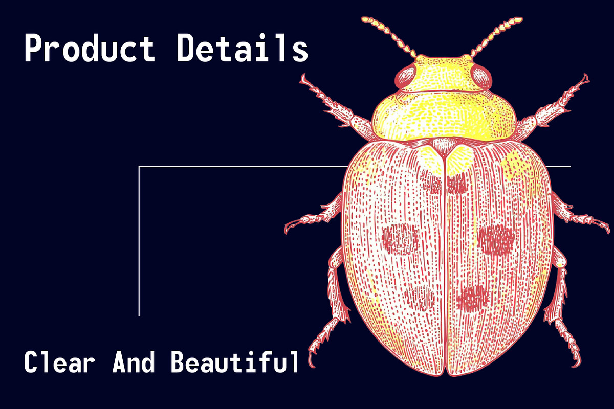 Hand Drawn Insects and Bugs Clipart, a Seasonal Illustration by CitraGraphics (Photo 6 of 6)