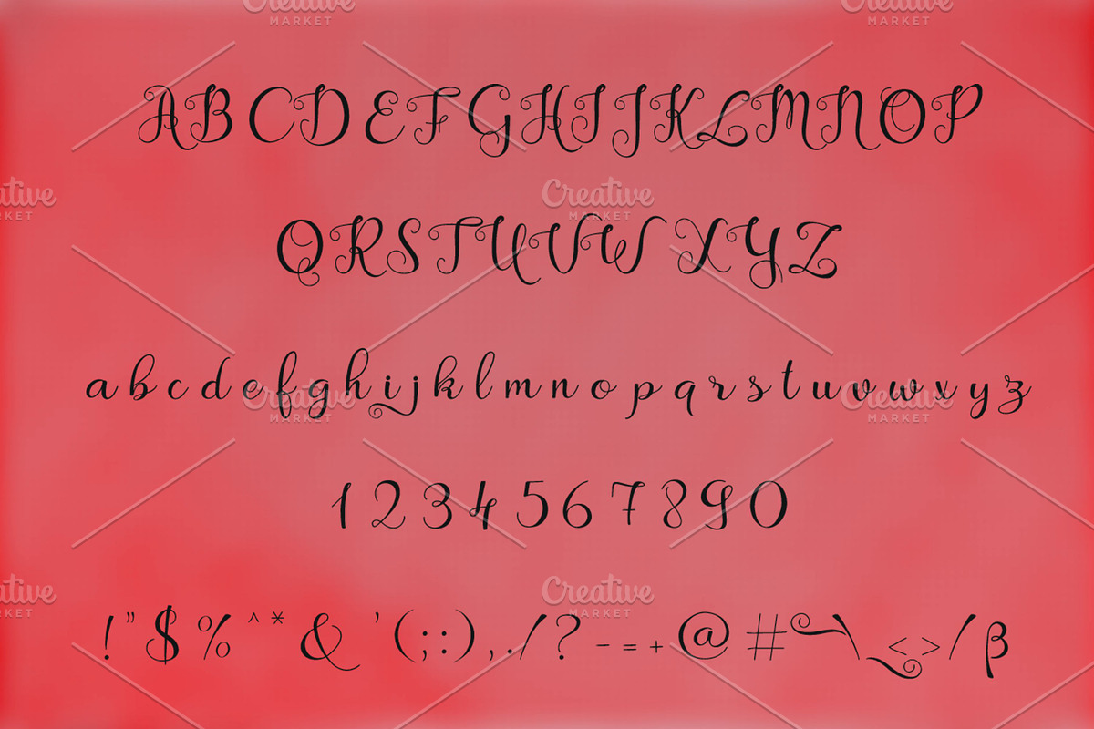 Artyka, a Script Font by Digital Typeface Studio (Photo 2 of 9)