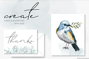 Birds & Botany: Watercolor Frames, a Texture Illustration by Wooly Pronto (Thumbnail 5 of 6)