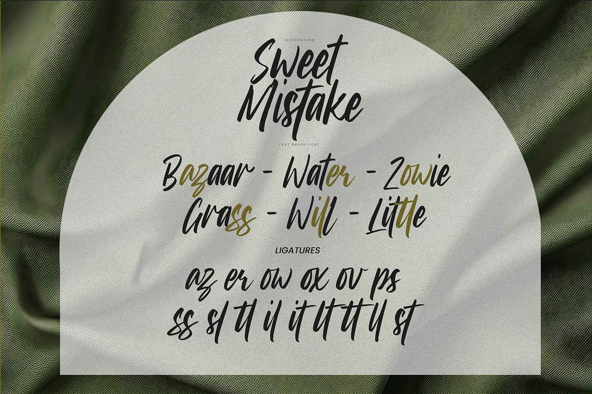 Sweet Mistake – Fast Brush Font, a Handwritten Font by Gassstype (Photo 7 of 8)