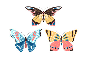 Butterflies, Set Of Illustrations