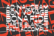 Fergana, a Sans Serif Font by Muhammad Hastian (Thumbnail 3 of 7)