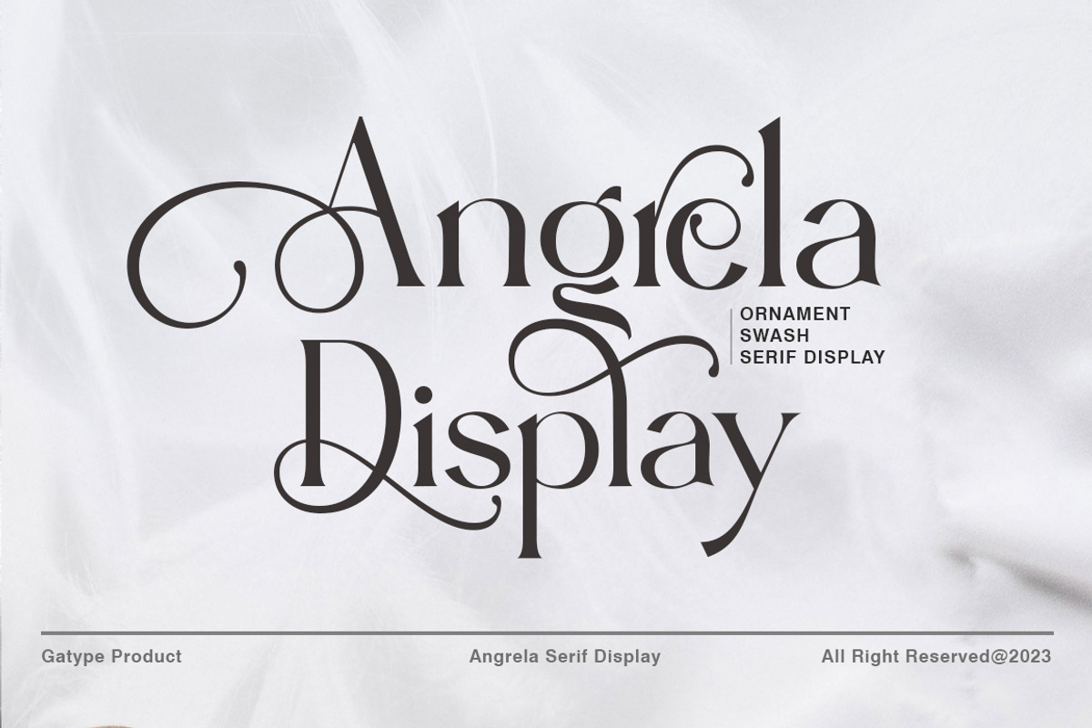 Angrela Display, a Serif Font by Gatype (Photo 1 of 11)