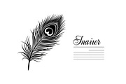 Peacock Feather Silhouette Bundle, an Illustration by jahid234 (Thumbnail 4 of 31)