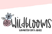 Wildblooms Font & Doodle Duo, a Script Font by Sabrina Schleiger Design (Thumbnail 6 of 6)