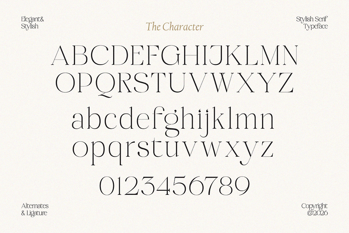 Midnight Obstacle, a Serif Font by Godbless Studio (Photo 12 of 14)