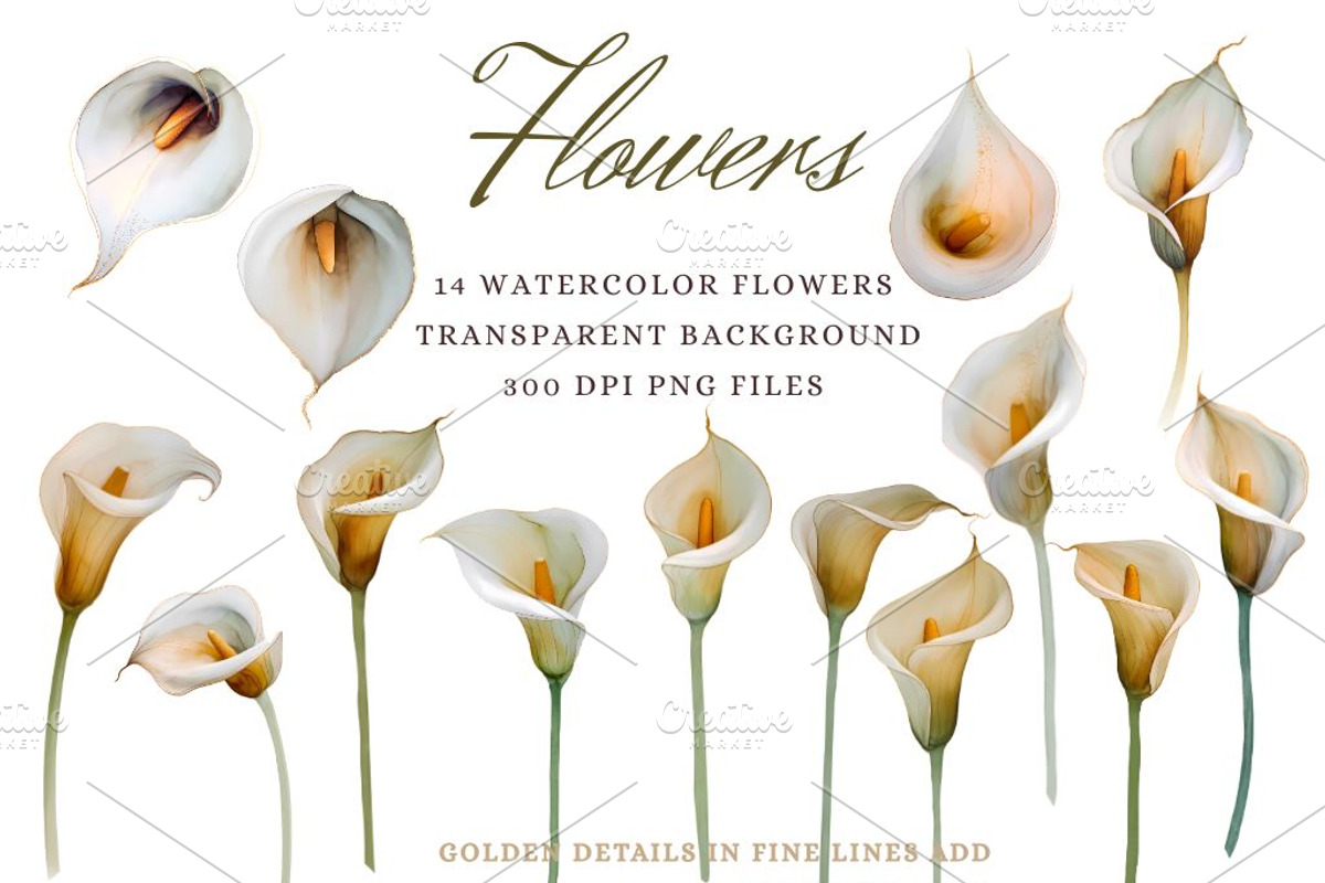 Calla Lily Watercolor Clipart Set, a Decorative Illustration by Floraphoria (Photo 2 of 10)
