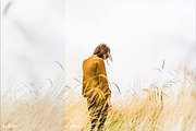 The Film Lightroom Collection, an Action Add-On by Preset Works (Thumbnail 7 of 15)