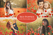 Red Poppies photo overlays set, an Object Graphic by BrownLeopard (Thumbnail 1 of 6)
