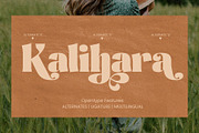 Alinta - Neo Retro Display Typeface, a Serif Font by Surplus Type Co (Thumbnail 3 of 9)