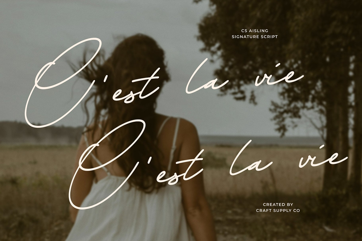 CS Aisling – Signature Script Font, a Script Font by Craft Supply Co. (Photo 6 of 8)