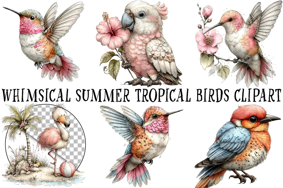 Whimsical Summer Tropical Birds Clip, an Illustration by OK Design (Photo 2 of 6)
