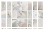 Blur Botanical Vellum Backgrounds, a Background Graphic by alonahaidash (Thumbnail 12 of 14)