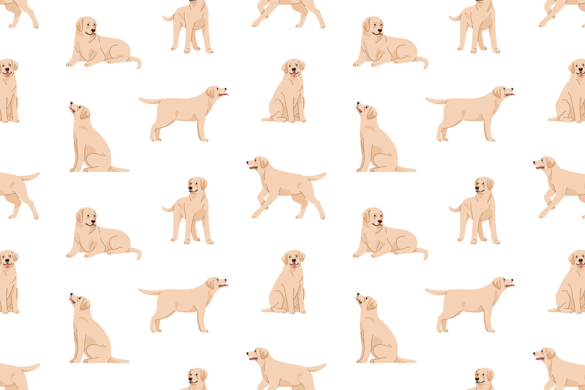 Labrador retriever dog set, patterns, an Animal Illustration by Good Studio (Photo 5 of 11)