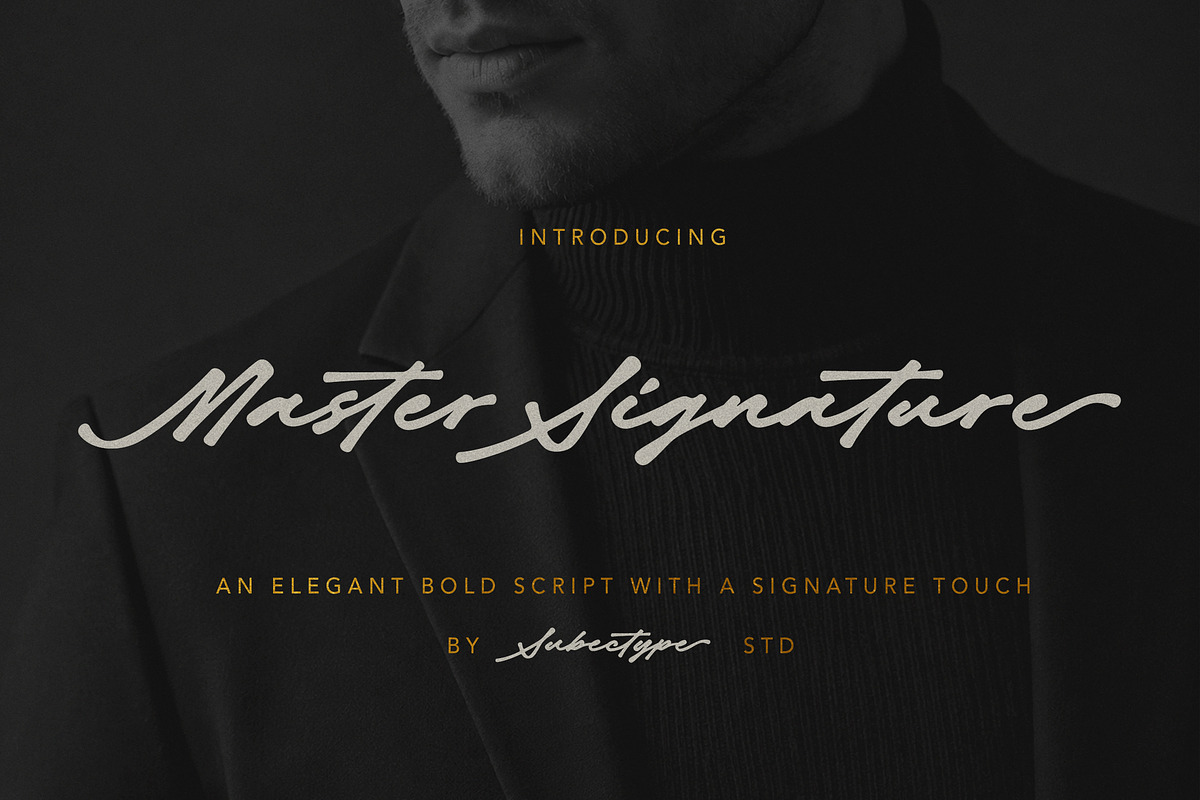 Master Signature - Signature Font, a Script Font by Subectype Studio (Photo 1 of 10)