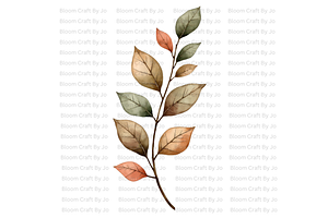 Dried Eucalyptus Branches
