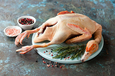 Raw fresh whole duck meat, pepper an
