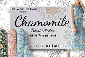 Chamomile. Floral Collection