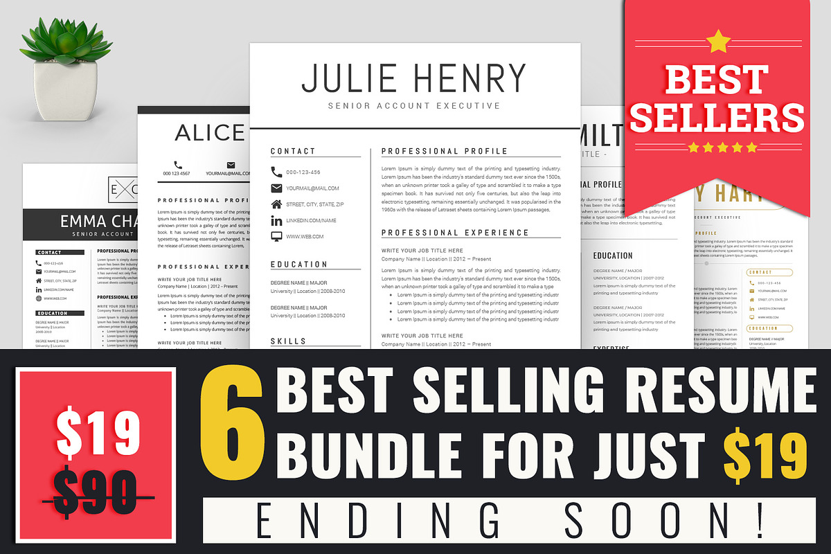 Resume/CV Bundle, a Resume Template by A1RESUME (Photo 1 of 9)