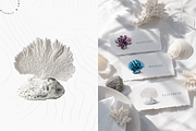 Ocean Nature Collection | Coral Pack, an Object Graphic by Lumeno (Thumbnail 8 of 10)