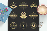 18 Wedding Logos and Badges, a Branding & Logo Template by Vasya Kobelev (Thumbnail 2 of 14)
