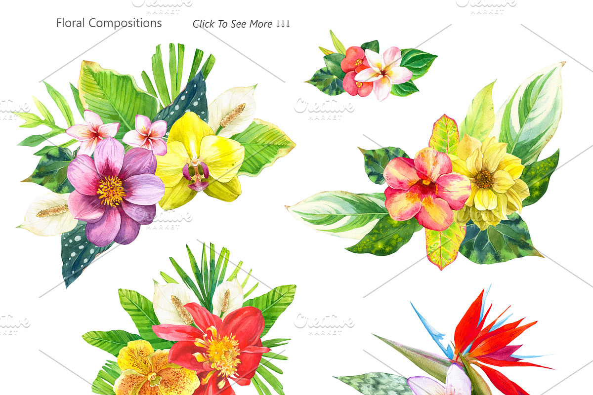 Tropical Flower Set, an Illustration by Mona Monash (Photo 8 of 12)