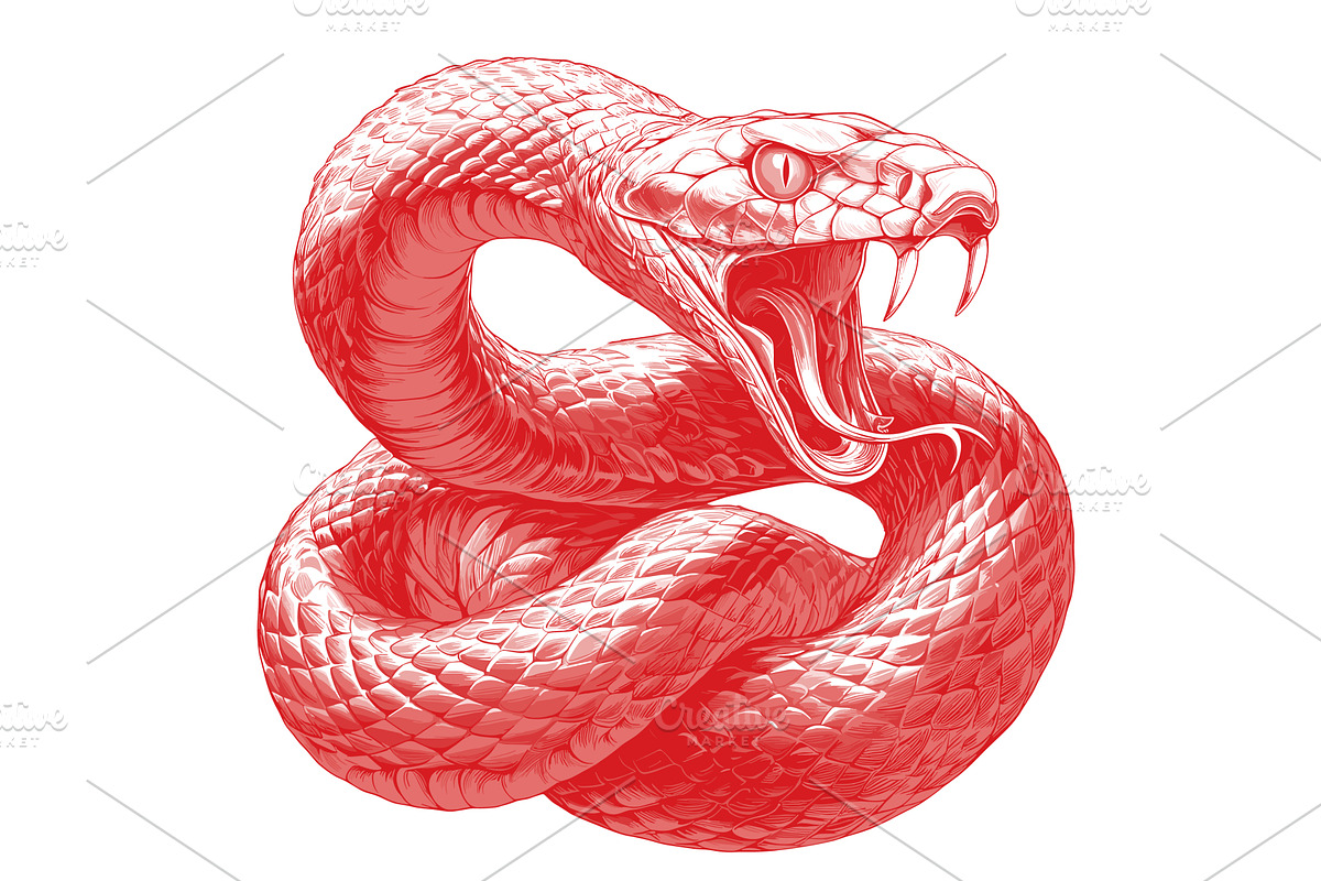 snake. predator tattoo engraving, an Object Illustration by Stock-Smart-Start