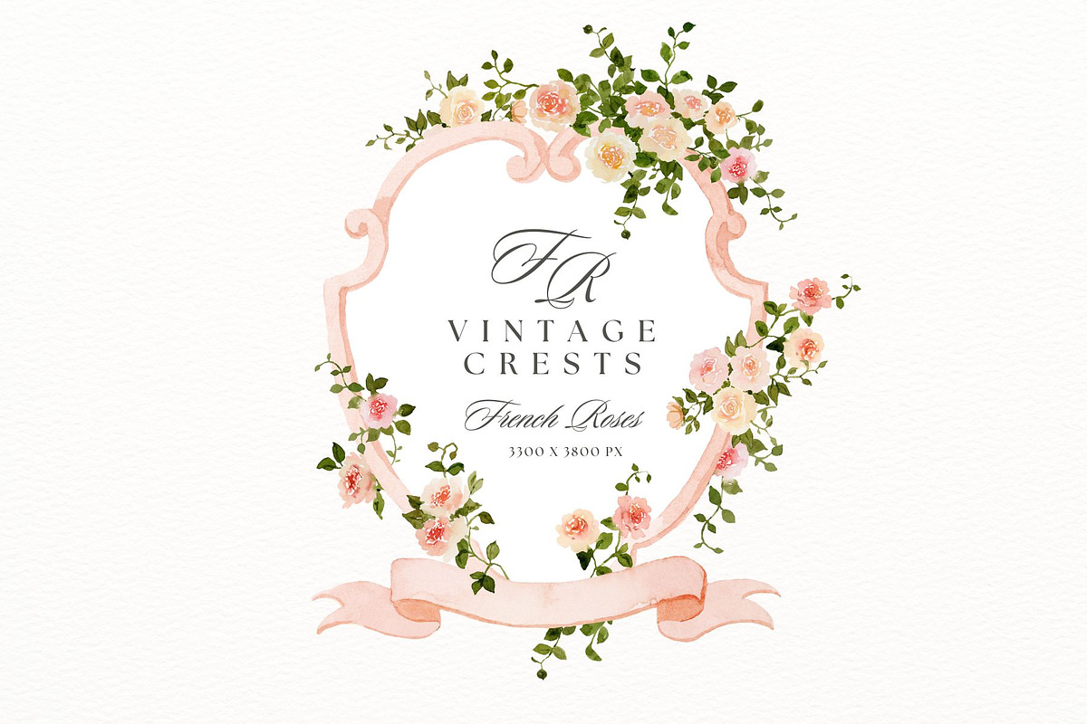 Crests and monograms with roses, a Decorative Illustration by AnnelyBlooms (Photo 4 of 9)