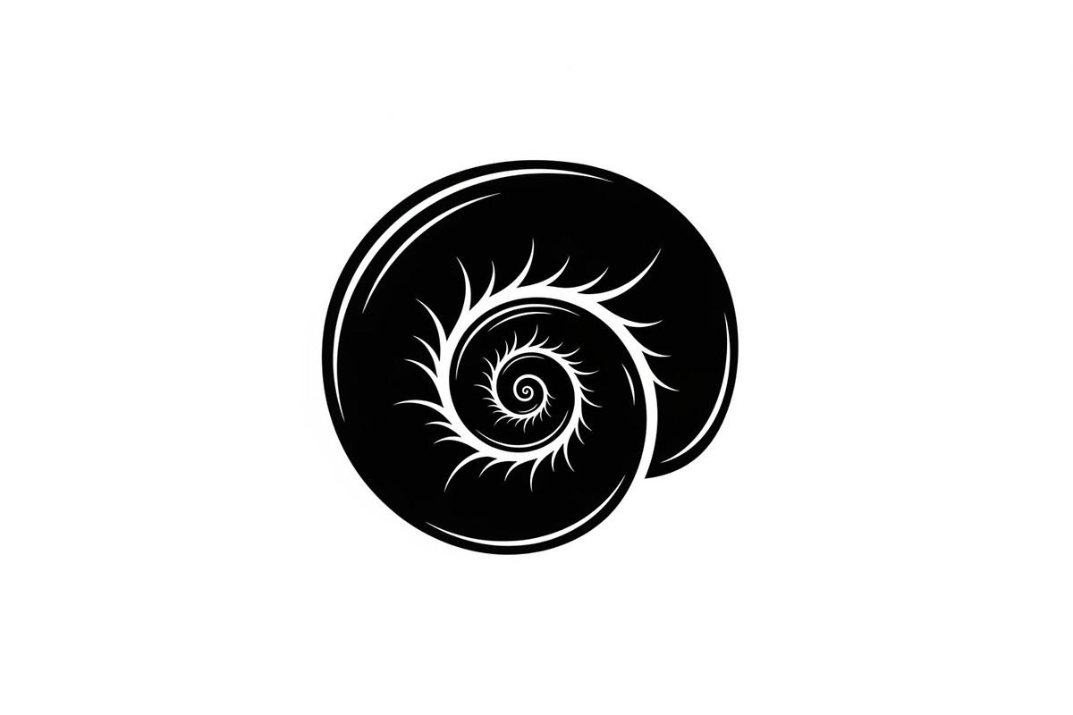 Spiral Seashell SVG Bundle, an Illustration by Gaye Art (Photo 28 of 31)