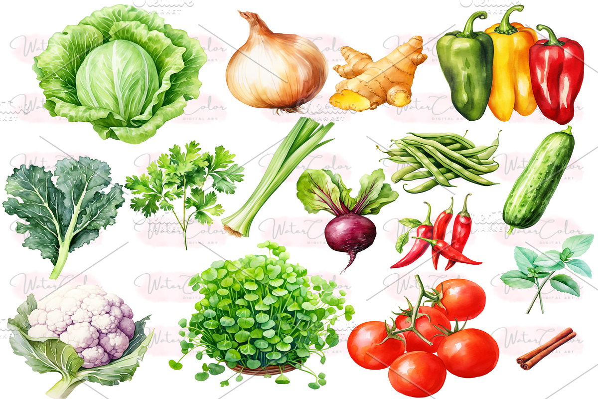 Vegetables Collection Clipart, a Food Illustration by Watercolor Digital (Photo 2 of 9)